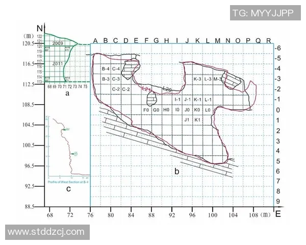 杭州乒乓球队速度分析与提升策略的深度探讨与研究