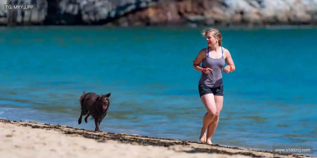 🏀高清直播，每一秒都让你心跳加速！